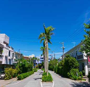 The Moon Beach Museum Resortroad