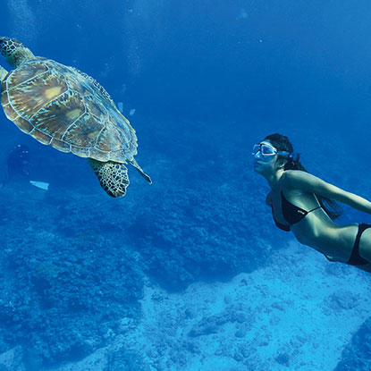 Swimming with sea turtles