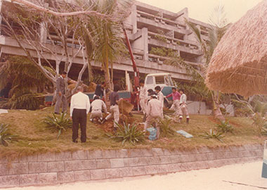 Planting palms on the premises